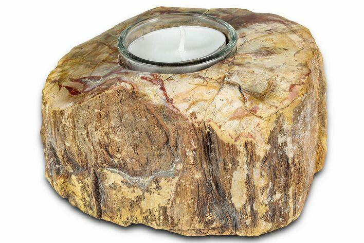 Polished Petrified Wood Candle Holder - Madagascar #337555